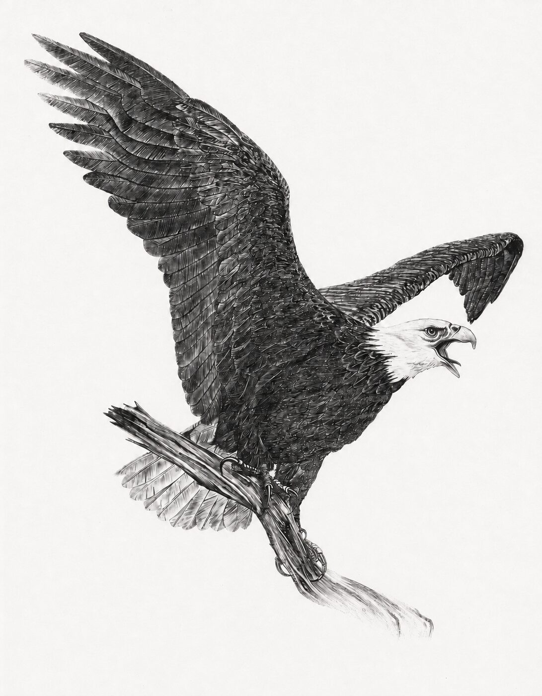 Meyrose artwork