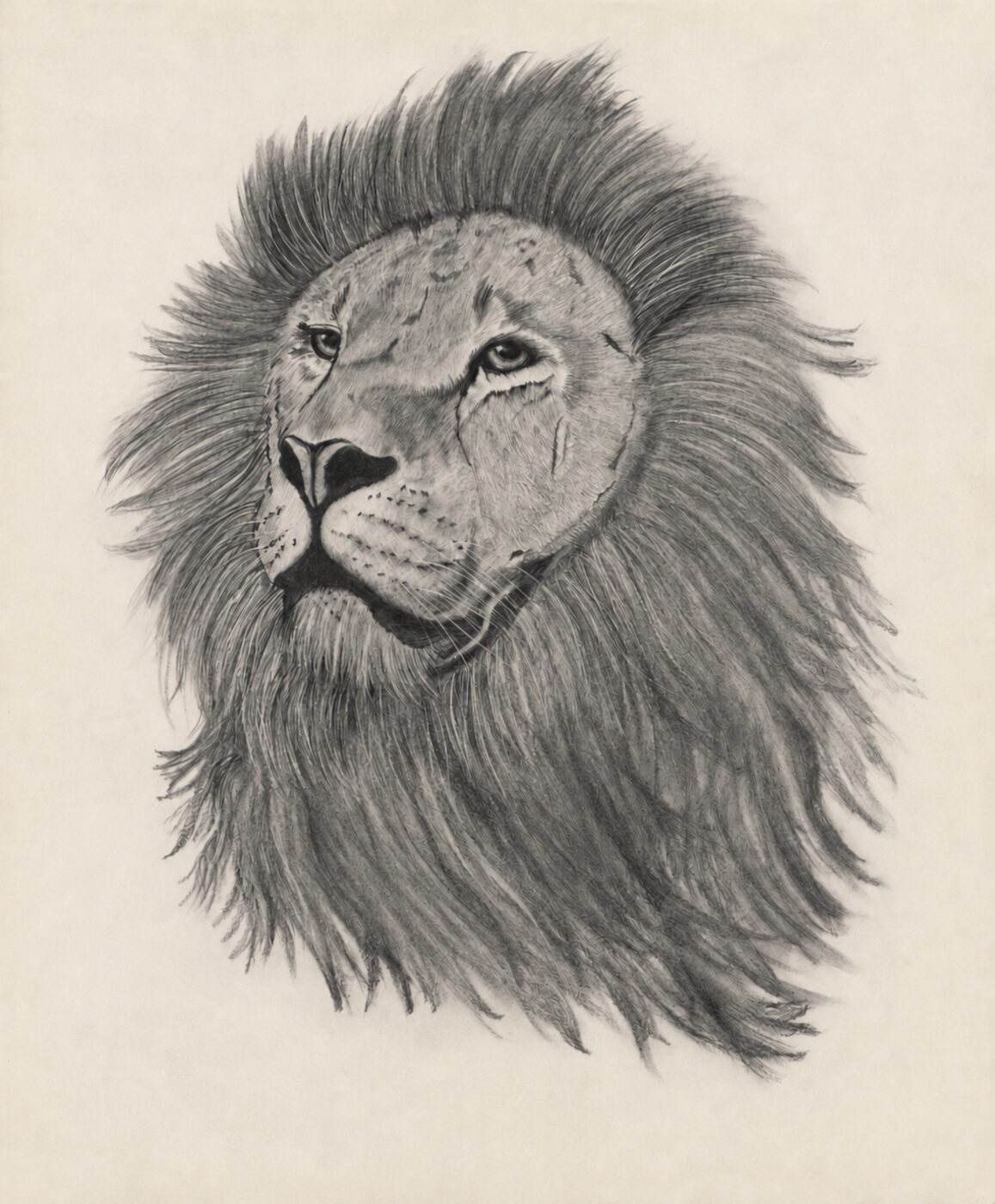 Meyrose artwork